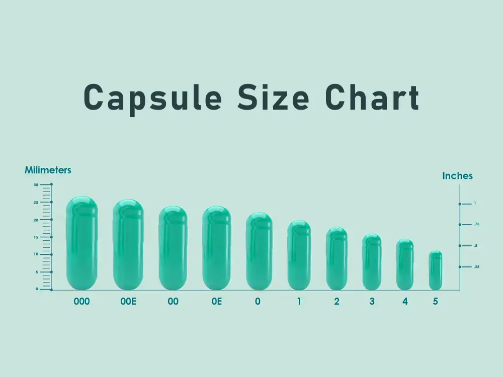 different capsule size chart