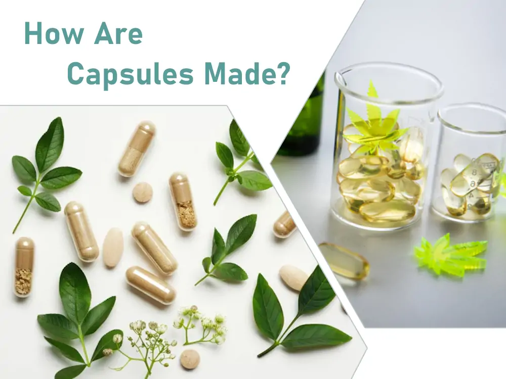 capsule supplements manufacturer capsule manufacturing process