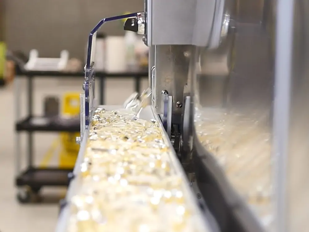 Softgel Capsule Fill Material Preparation