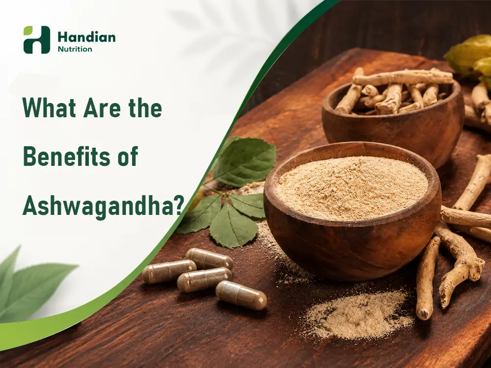 what are the benefits of ashwagandha