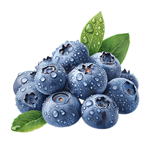 blueberry gummy flavor
