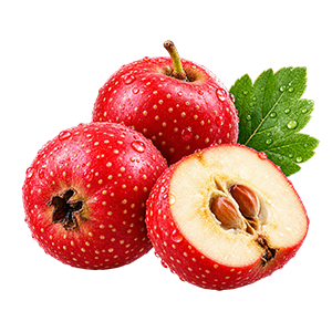 hawthorn gummy flavor